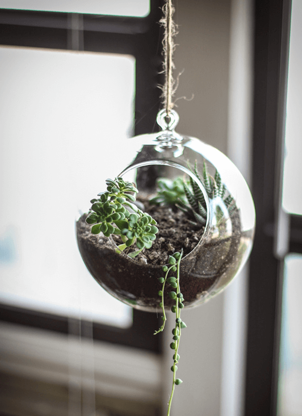 Hanging terrarium circular